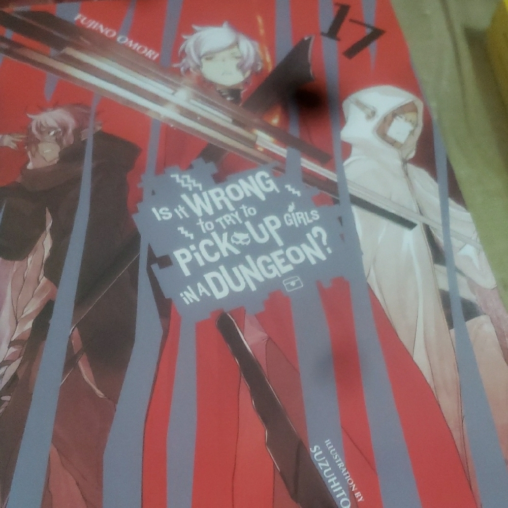 Is It Wrong to Try to Pick Up Girls in a Dungeon? Vol. 17 Manga